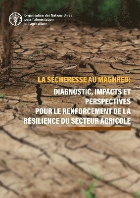 La scheresse au Maghreb 1