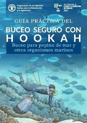 Gua prctica del buceo seguro con hookah 1