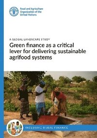 bokomslag Green finance as a critical lever for delivering sustainable agrifood systems - A global landscape study