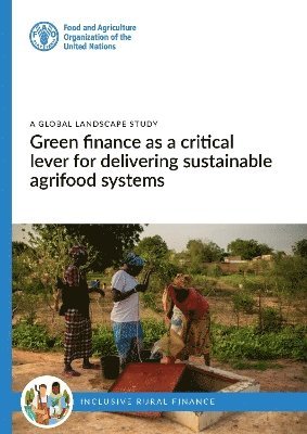 Green finance as a critical lever for delivering sustainable agrifood systems - A global landscape study 1