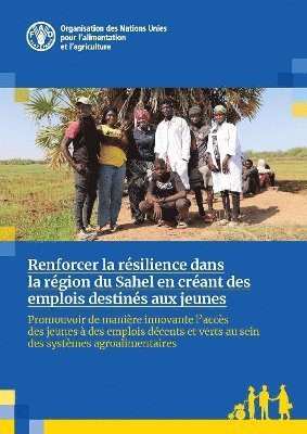 bokomslag Renforcer la rsilience dans la rgion du Sahel en crant des emplois destins aux jeunes