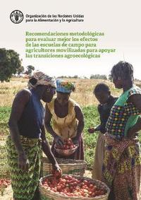 bokomslag Recomendaciones metodolgicas para evaluar mejor los efectos de las escuelas de campo para agricultores movilizadas para apoyar las transiciones agroecolgicas