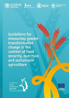 bokomslag Guidelines for measuring gender transformative change in the context of food security, nutrition and sustainable agriculture