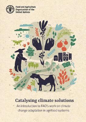 bokomslag Catalysing climate solutions