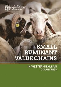 bokomslag Small ruminant value chains in Western Balkan countries