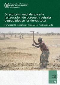 bokomslag Directrices Mundiales para la Restauracin de Bosques y Paisajes Degradados en las Tierras Secas