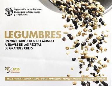 bokomslag Pulses (Recipes) (Spanish)