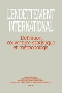 bokomslag L' Endettement International: Definition, Couverture Statistique et Methodologie