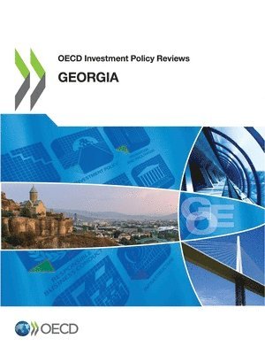 OECD Investment Policy Reviews