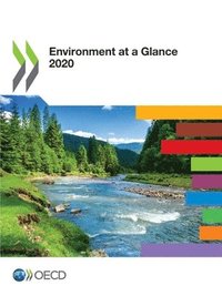 bokomslag Environment at a Glance 2020