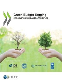 bokomslag Green budget tagging