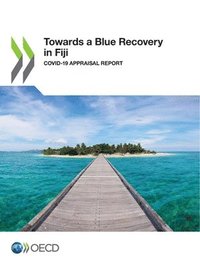 bokomslag Towards a Blue Recovery in Fiji