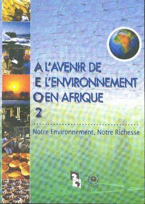 bokomslag L'Avenir de l'Environnement en Afrique 2