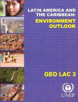 bokomslag Global environment outlook