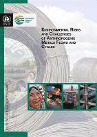 bokomslag Environmental risks and challenges of anthropogenic metals flows and cycles