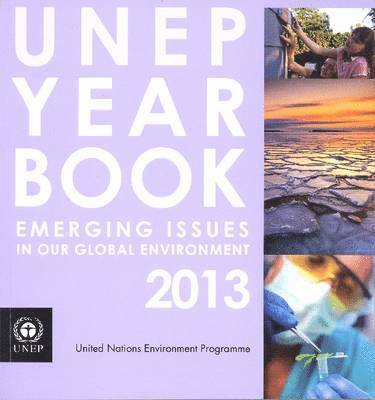 UNEP year book 2013 1