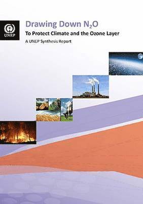 Drawing down N2O to protect climate and the ozone layer 1