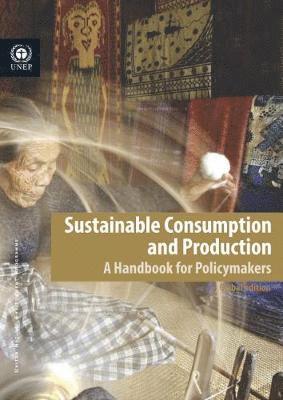 bokomslag Sustainable consumption and production