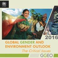 bokomslag Global gender and environment outlook 2016