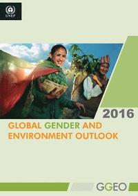 bokomslag Global gender and environment outlook 2016