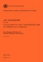 Iarc, IARC - Some Monomers, Plastics and Synthetic Elastomers, and Acrolein: IARC vol 19, Häftad
