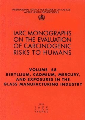 bokomslag Beryllium, cadmium, mercury and exposures in the glass manufacturing industry