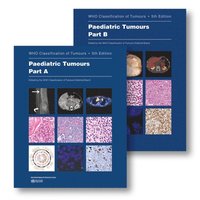 bokomslag Paediatric tumours Part A and Part B (2 Volumes)