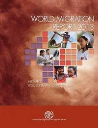 bokomslag World migration report 2013