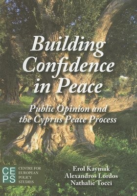 Building Confidence in Peace
