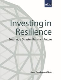 bokomslag Investing in Resilience