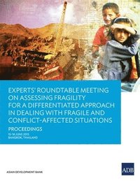 bokomslag Experts' Roundtable Meeting on Assessing Fragility for a Differentiated Approach in Dealing with Fragile and Conflict-Affected Situations