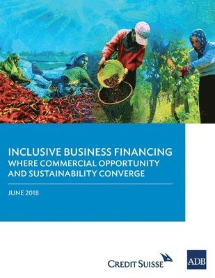 bokomslag Inclusive Business Financing