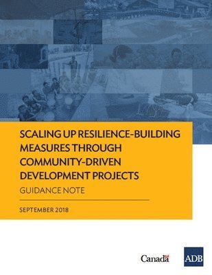 bokomslag Scaling Up Resilience-Building Measures through Community-Driven Development Projects