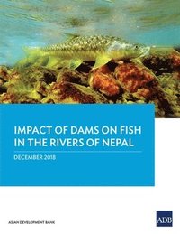 bokomslag Impact of Dams on Fish in the Rivers of Nepal