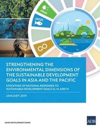 bokomslag Strengthening the Environmental Dimensions of the Sustainable Development Goals in Asia and the Pacific