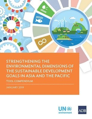 bokomslag Strengthening the Environmental Dimensions of the Sustainable Development Goals in Asia and the Pacific