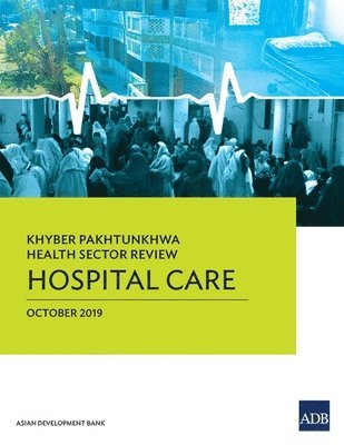 bokomslag Khyber Pakhtunkhwa Health Sector Review