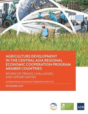 bokomslag Agriculture Development in the Central Asia Regional Economic Cooperation Program Member Countries