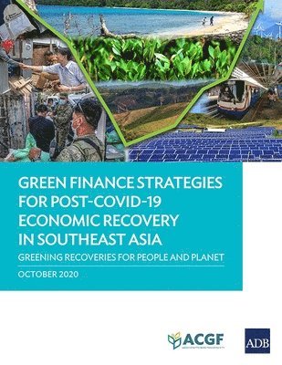 bokomslag Green Finance Strategies for Post COVID-19 Economic Recovery in Southeast Asia