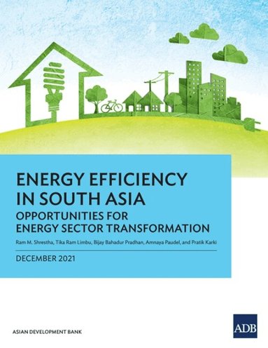 Ram M. Shrestha, James Villafuerte, Josef T. Yap - Energy Efficiency in South Asia, Häftad