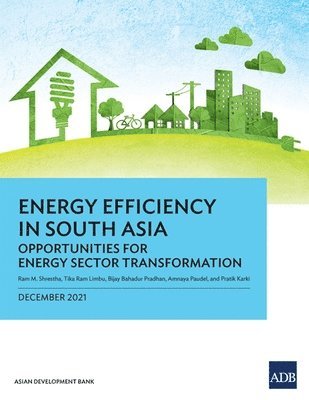 bokomslag Energy Efficiency in South Asia