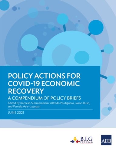 Ramesh Subramaniam, Ramesh Subramaniam, Alfredo Perdiguero, Jason Rush - Policy Actions for COVID-19 Economic Recovery, Häftad