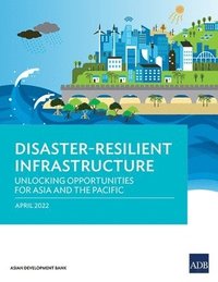 bokomslag Disaster-Resilient Infrastructure