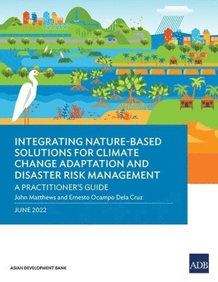 bokomslag Integrating Nature-Based Solutions for Climate Change Adaptation and Disaster Risk Management