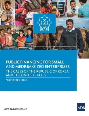 bokomslag Public Financing for Small and Medium-Sized Enterprises