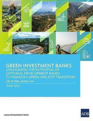 bokomslag Green Investment Banks