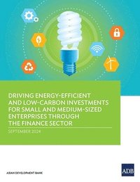 bokomslag Driving Energy-Efficient and Low-Carbon Investments for Small and Medium-Sized Enterprises Through the Finance Sector