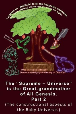 The 'Supreme - Universe' is the Great-grandmother of All Genesis, Part 2. The constructional aspects of the Baby Universe. 1