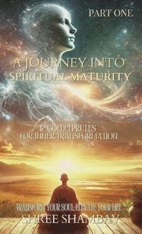 bokomslag Journey into Spiritual Maturity