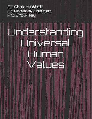 bokomslag Understanding Universal Human Values